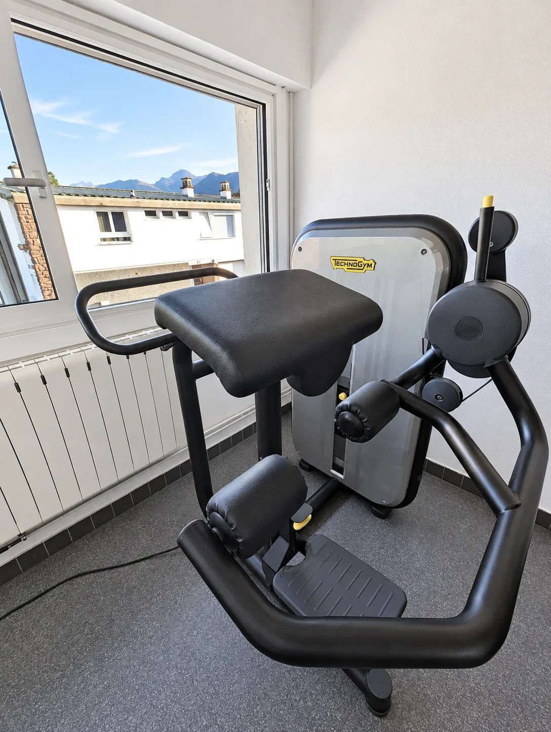 Machine Technogym pour les ischio-jambiers, face à la montagne.